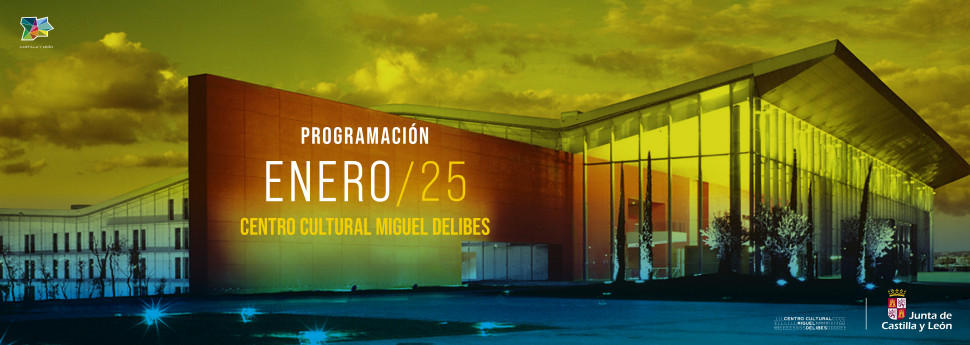 Programación CCMD enero  2025